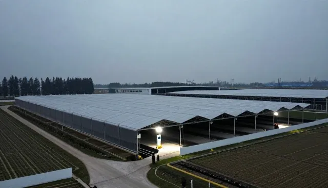 医疗技术推广中如何解决应用难题？